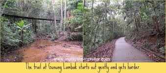 Maybe you would like to learn more about one of these? Gunung Lambak Kluang Johor