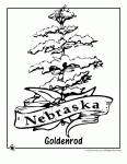 Archive for the '50 states of american grown flowers' category. State Flower Coloring Pages Woo Jr Kids Activities