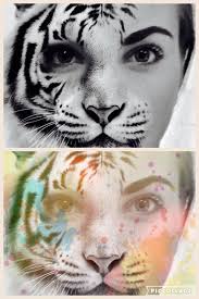 Les projecteurs de profil sont des instruments de mesure optiques. Cele Mai Tari Poze Photos Facebook