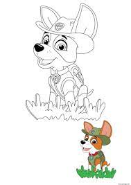 coloriage tracker chihuahua explorateur dans la jungle paw patrol dessin a imprimer nidoqueen