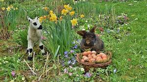 Use custom templates to tell the right story for your business. 5ah7vuh Jkj4om