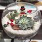 DIY Winter Wonderland Terrarium - Drop In Day event image