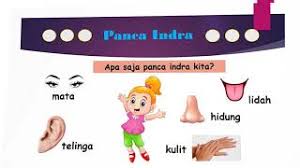 Maybe you would like to learn more about one of these? Video Pembelajaran Tema Diri Sendiri Sub Tema Panca Indra Minggu Ke 3 Paud Youtube