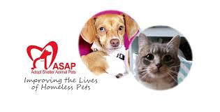 Every year, many children in oregon are left without a permanent home. Adopt Shelter Animal Pets Tri Cities Home Facebook