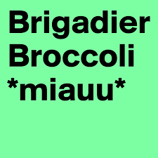 Known as brigadier broccoli, this dainty tabby cat lives at a swiss army base and has the status of an official army animal. Brigadier Broccoli Miauu Post By Junomea On Boldomatic