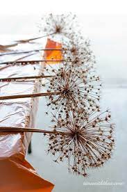How To Create Gorgeous Metallic Painted Dried Giant Allium Flowers Allium Flowers Dried Flower Bouquet Dried Flowers