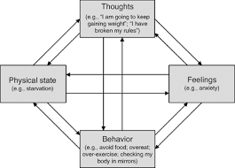 Many practitioners have found the soap format awkward or forced for recording progress in psychotherapy. The Key Elements Of Cognitive Behavioral Therapy And The Self Help Approach Chapter 2 Beating Your Eating Disorder