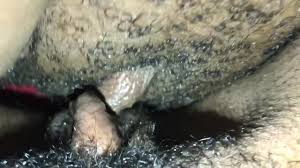 EBONY LESBIANS TRIBBING