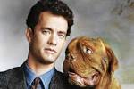 Dogue de Bordeaux Dog Breed Information