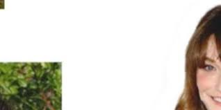 We did not find results for: Carla Bruni Impressionne Nicolas Sarkozy A 52 Ans Rides Effacees 20 Ans De Moins Photo