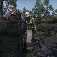 Image result for Hertia