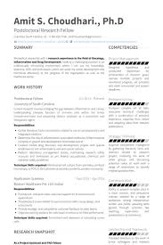 Postdoctoral Fellow Resume Example Cover Letter For Resume Resume Examples Resume Objective Sample