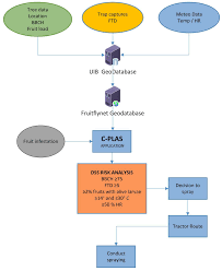 Agronomy Free Full Text Developing And Implementation Of Decision Support System Dss For The Control Of Olive Fruit Fly Bactrocera Oleae In Mediterranean Olive Orchards Html