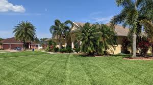 Get 25 the lawn care nut coupon codes and promo codes at couponbirds. The Lawn Care Nut Allyn Hane Posts Facebook