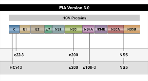 core concepts hepatitis c diagnostic testing screening