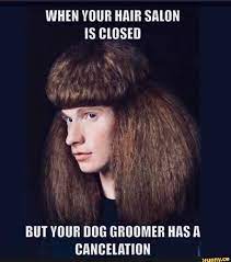 When Your Hair Salon Is Closed But Your Dog Groomer Has A Cancelation Ifunny Hair Humor Funny Pictures Bones Funny
