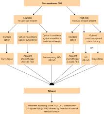 How do you get testicular cancer? Eau Guidelines On Testicular Cancer 2011 Update European Urology