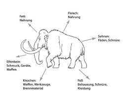 Vor 10.000 jahren verschwanden mammuts von der erde. Mammut Mensch Mammut Museum