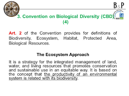International Environmental Law Ppt Video Online Download