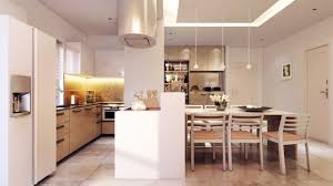 pretty modern kitcheninterior design ideas.