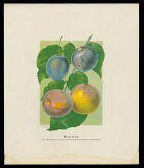 Johnson framed the central figure of carver with images of his laboratory equipment and of peanuts. What If An Artist Becomes A Scientist Stories Of Innovation The Henry Ford