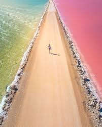 Watermelon smoothies are cool and refreshing—a perfect treat for a hot summer day. Watermelon Avenue Of Cactus Beach In South Australia Imgur