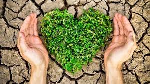 Environmental protection uk has extensive information and research resources covering 1898 to the present day; Environmental Protection And The Modern Arabic Novel Lagrange Points Brussels