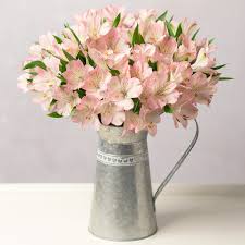 Check spelling or type a new query. Simply Alstroemeria Flowers By Post Bunches