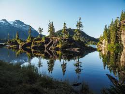 Wander amidst rugged beaches and remote coastal communities. Vancouver Island Entdecken Und Die Seele Baumeln Lassen Exit Reisen Usa Kanada Spezialist