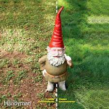 Lawns How To Reseed Lawn Care Reseeding Lawn Weeds In Lawn