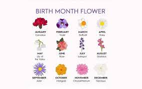 Synonymous with the christmas spirit, holly, the birth flower for december also symbolises fortune. 12 Korean Birth Flower For Each Month With Meanings To Know About Anyone