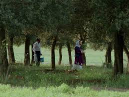 Through the olive trees (1994) screening. The Koker Trilogy Review Criterion Forum