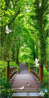 Check spelling or type a new query. 3d Waldbrucke Bird Cor 3dwallpaperwallpapers3d Bird Cor Waldbrucke Beautiful Landscape Wallpaper Scenery Wallpaper Beautiful Nature Wallpaper