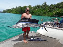 All the trophies are biting offshore, including tuna, wahoo, and mahi mahi. One Amp Only Reethirah Maldives Big Game Fishing By Abdulla Afrah Mohamed Didi Photo Stock Snapwire