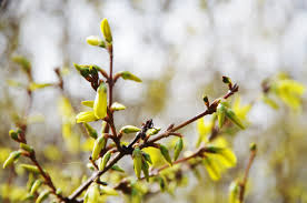 Maybe you would like to learn more about one of these? Wielkanoc 2020 Jaka Pogoda Na Swieta Radio Jura 93 8 Fm Czestochowa Wiadomosci I Informacje Z Czestochowy I Regionu