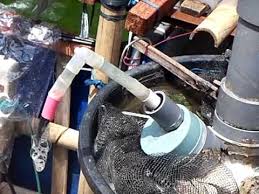 Lele Ras Lele Sistem Resirkulasi Hp Terbaru 2015 081282223879 Youtube