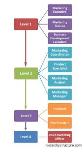 marketing career hierarchy accounting career career