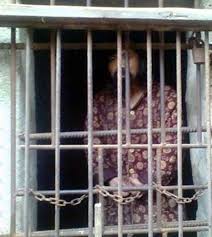 Dalam mesyuarat reban ayam ini adinda tidak bercakap sepatah apapun. Lelaki Dikurung Dalam Reban Ayam Selama 13 Tahun Dunia Mstar