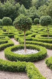 Moseley Old Hall Knot Garden Boxwood Garden Topiary Garden Urban Garden