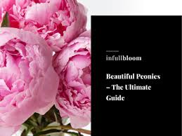 We did not find results for: Flower Shops Open Now Near Me In Full Bloom Melbourne