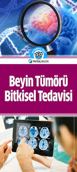 Ibrahim Saracoglu Beyin Tumoru Bitkisel Tedavisi Faydali Bilgin Beyin Tumoru Beyin Saglik