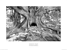 Customs services and international tracking provided. Thomas Barbey Tourist Trap Frame It The Art Group