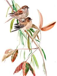 Bird Paitning Original Watercolor Artwork Sparrow Etsy Birds Painting Watercolor Bird Original Watercolors