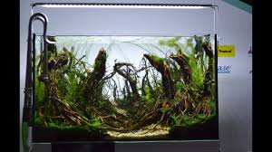 The Art Of The Planted Aquarium 2017 Polish Aquascaping Contest Aquascape Planted Aquarium Aquarium