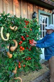 See more ideas about over the years, installation, vertical garden. Living Wall Perhaps The Ultimate Raised Bed Garden Home And Garden Journaltimes Com