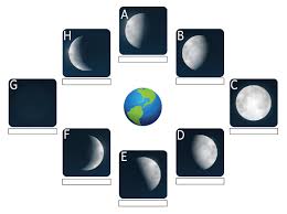 Social studies week 17 texas community studies weekly. Quizlet Science 5th Grade Chapter 7