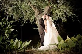 Check spelling or type a new query. Fuente Palmera Archivos Toni Diaz Fotografia