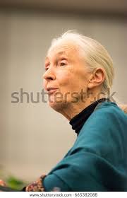 5 Agnes Irwin School Royalty-Free Images, Stock Photos & Pictures