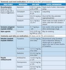 Does your dog suffer from separation anxiety? Separation Anxiety Treating Dogs In The Wake Of Covid 19