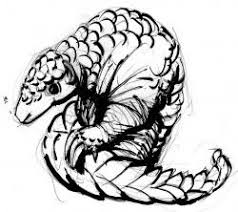 Sketch Please Pangolin Pangolin Animal Drawings Drawings